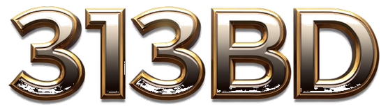 313bd logo